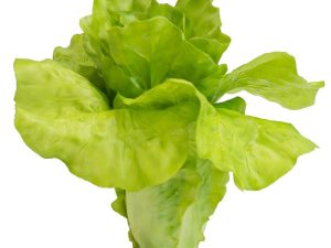 ΤΕΧΝΗΤΟ ΜΑΡΟΥΛΙ ΠΡΑΣΙΝΟ ΠΛΑΣΤΙΚΟ. 16x17x14. LETTUCE