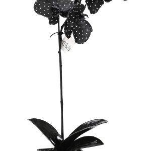 Ορχιδέα συνθετικό σε κασπώ. Sia. 70x13cm. oikos279